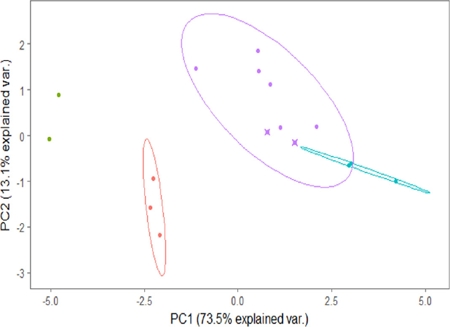 Principal Component Analysis of body and cranio-dental measurements. The first axis (PC1) accounts for 73.5 % of the total variation and, the second axis for 13.1 % of the total variation. See Table 2 for character loadings on these two components. Ellipses represent the 95 % confidence ellipses for each group (female jaguars, male pumas and female pumas). Green points represent male jaguars; red points female jaguars; purple points male pumas and turquoise points female pumas. The two juvenile pumas evaluated in this study include an “x” in the circle.