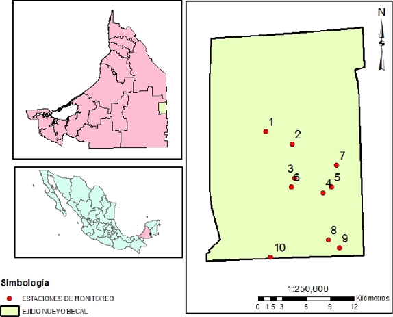 Location of the study area in ejido Nuevo Becal Calakmul, Campeche, Mexico. Red dots represent the monitoring stations.
