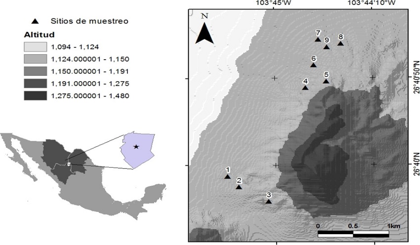 Image of the Cerro San Ignacio, Mapimí Biosphere Reserve, Durango, showing the sampling sites.