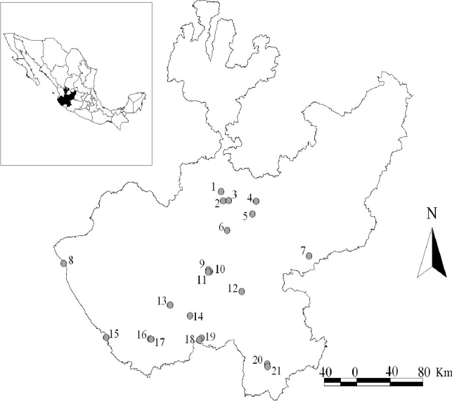 Location of the surveyed caves with bats. 1- Cueva Cuata, 2- Qanat Chimulco, 3- Grieta Tepetates, 4- Cueva San Bernardo, 5- Qanat Colomos, 6- Cueva Chapuzón, 7- Cueva de Toscano, 8- Cueva Tlalpichichi, 9- Cueva La Campana, 10- Cueva Bandoleros, 11- Cueva Paso Real, 12- Cueva Enamorados, 13- Mina San Francisco, 14- Mina Cucuciapa, 15- Cueva Don Pancho, 16- Cueva Altilte, 17- Cueva del Diablo, 18- Cueva Resumidero de Toxín, 19- Cueva Torrecillas, 20- Cueva del Real, 21- Cueva Higuerilla.