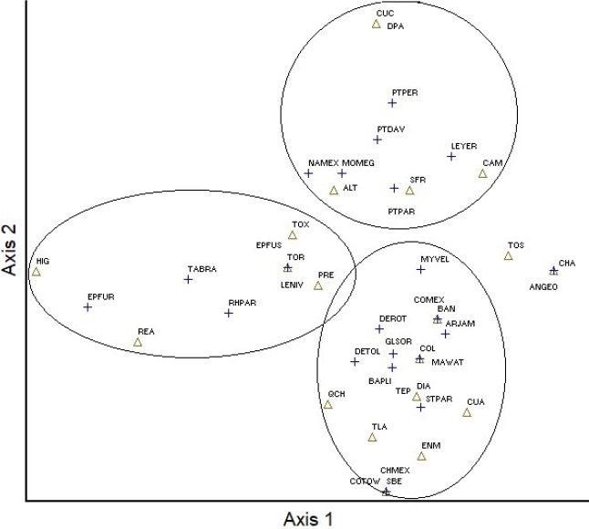 Non-metric Multidimensional Scaling analysis (NMDS), showing the first two axis for the whole dataset (21 caves x 23 species) (stress 19.03; p = 0.04). Triangles indicate the relative position of the caves in the axis, whereas the crosses indicate the relative position of the species (acronyms for bats and caves are in the Appendix 2). The groups indicate caves that have similar composition of species.