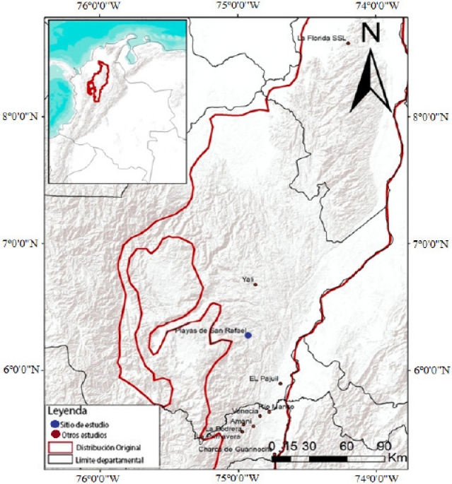 Localities with population density estimation for Saguinus leucopus. Amani (Santamaría et al. 2007), La Primavera (Pyritz et al. 2009), Charca de Guarinocito, El Pajuil, La Pedrera, Río Manso, Venecia (Roncancio et al. 2011), Yali - El Limón (Mejía and Gomez 2011), La Florida (Roncancio et al. In prep.) and Playas de San Rafael (this study).