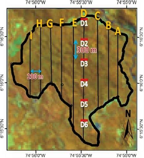 Location of the linear transects in the study area. The letters indicate the trails. *Transects by trail (transects): Trail A: 4 transects, Trail B: 5 transects, Trail C: 6 transects, Trail D: 6 transects, Trail E: 6 transects, Trail F: 6 transects, Trail G: 4 transects, Trail H: 4 transects, Trail I: 3 transects.