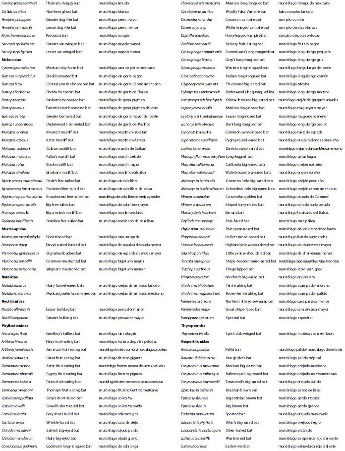 Scientific and Vernacular Names (in English and Spanish) of the mammals of North America. When more than one vernacular name is available for a species, a forward slash (/) is used to separate each individual name.  Continuación