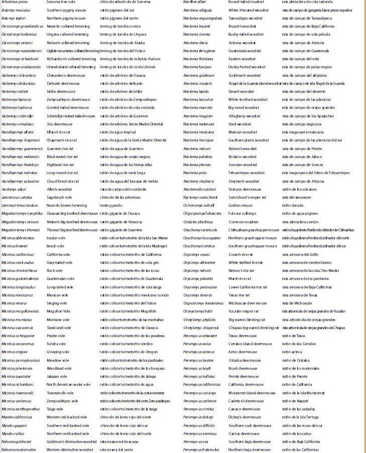 Scientific and Vernacular Names (in English and Spanish) of the mammals of North America. When more than one vernacular name is available for a species, a forward slash (/) is used to separate each individual name.  Continuación