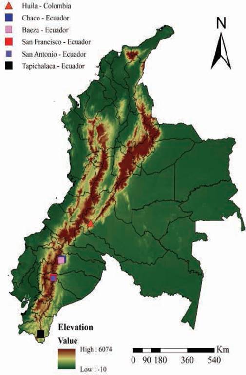 Recording localities of Nephelomys nimbosus in Ecuador and the new one in Colombia at Huila department.