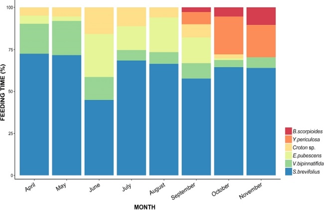 Average percent of time spent on feeding on each of the plant species included in the diet of the squirrels.