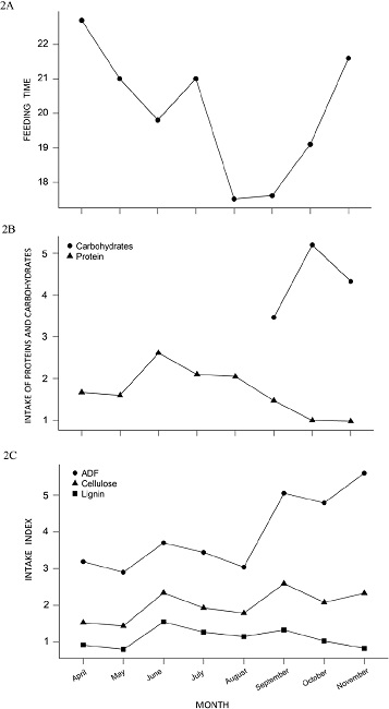 Percentage of feeding time per month considering all plant species used in Perote squirrels diet (A). The protein and carbohydrate index shows that during the recorded period the squirrels ate foods containing mainly protein, while during the months of September, October and November they ingested carbohydrates, due to fruiting and consumption the fruits of Y. periculosa (Carbohydrate data from: Baraza et al. 2008) (B). Intake Index of ADF (Acid Detergent Fiber), Cellulose and Lignin for X. s. perotensis. The ADF consumption was higher than the others (C).