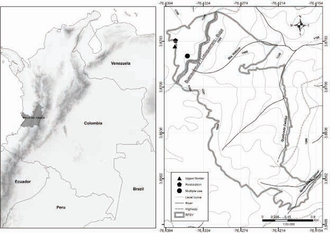 Map of the protected area “Reserva Forestal Bosque de Yotoco (RFBY)”, Valle del Cauca, Colombia. The three areas sampled are shown (Upper Border, Restoration and Multiple Use) and the dotted line shows the Buenaventura-Loboguerrero-Buga highway that splits the total area of the RFBY (Perez-Moreno, 2018).