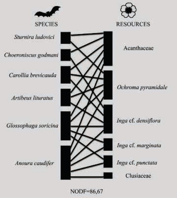 Interaction network between bats and floral resources (nectar and pollen) used in the protected area “Reserva Forestal Bosque de Yotoco (RFBY)”, Valle del Cauca, Colombia. The nesting value according to the NODF algorithm is shown.