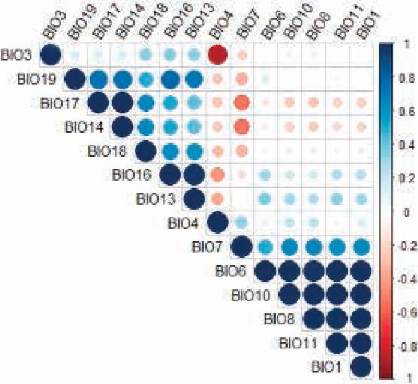 Correlation chart of the bioclimatic variables that make a significant contribution to the predictive model of the distribution of Coendou rufescens.