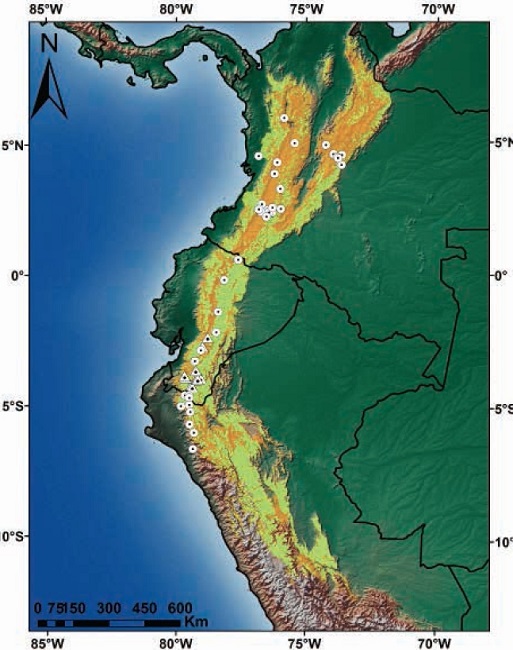 Records and potential distribution of Coendou rufescens (orange), potential range of C. rufescens in relation to remnant vegetation in Colombia, Ecuador and Peru (light green). Circles represent records from the literature review; triangles, the new locations reported in this study.