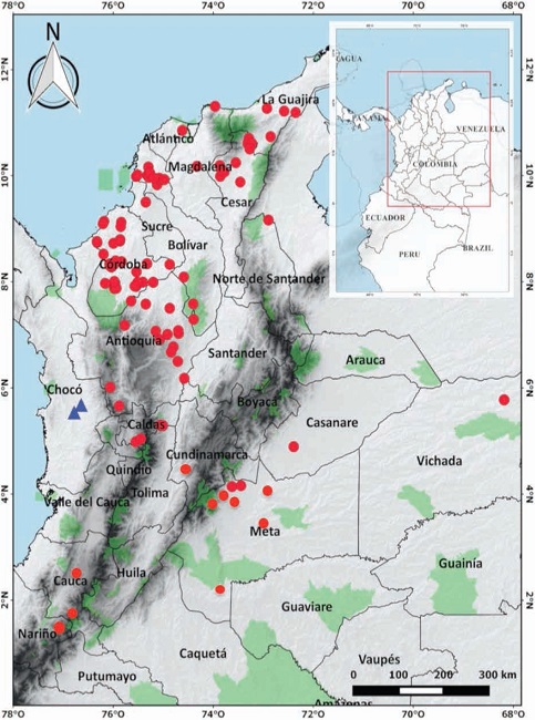 Geographical location of records of G. vittata in Colombia: Red circles = records in GBIF (http://data.gbif.org), ICN, MHNC, or in the literature: Escobar-Lasso and Guzmán-Hernández, (2014), Jiménez-Alvarado et al. (2016). Blue triangles = New records for the Pacific region of Colombia reported here. Green = System of Natural Parks.