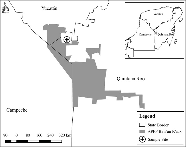 Sampling area, located in coordinates 19&deg; 35&rsquo; 24.70&rdquo; N, -89&deg; 10&rsquo; 51.20&rdquo; W, within the Mayan community of Xnoh Cruz, municipality of Jos&eacute; Mar&iacute;a Morelos, Quintana Roo, which is adjacent to the Bala&rsquo;an &lsquo;k&rsquo;aax APFF.