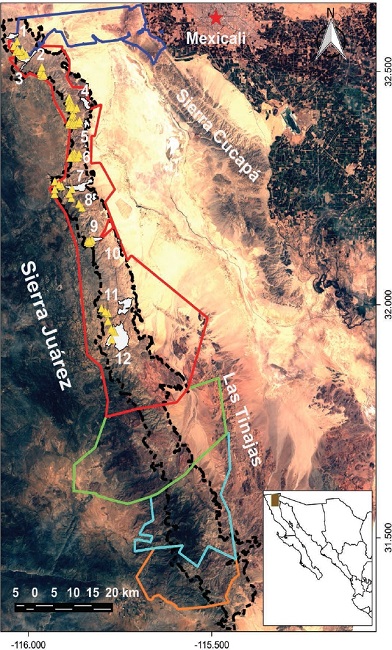 Study area (black dots) showing 2012 aerial census records (yellow) and sampling sites (white): 1) Ca&ntilde;&oacute;n de Los &Aacute;lamos; 2) Ca&ntilde;&oacute;n de los Llanos; 3) Ca&ntilde;&oacute;n del Ranchito; 4) Cerros Boludos; 5) Cerros de la Ponderosa; 6) La Rosa; 7) Ca&ntilde;&oacute;n del Tajo; 8) Cerros de los Laureles del desierto; 9) Ca&ntilde;&oacute;n de Guadalupe; 10) Cerros del Ejido Manatou; 11) Ca&ntilde;&oacute;n del Alamar; 12) Ca&ntilde;&oacute;n del Palomar. Ejidos located in the study area are: Emiliano Zapata (dark blue), Cordillera Molina (red), Misi&oacute;n de Santa Catarina (green), Jamau (light blue), 16 de septiembre (orange).