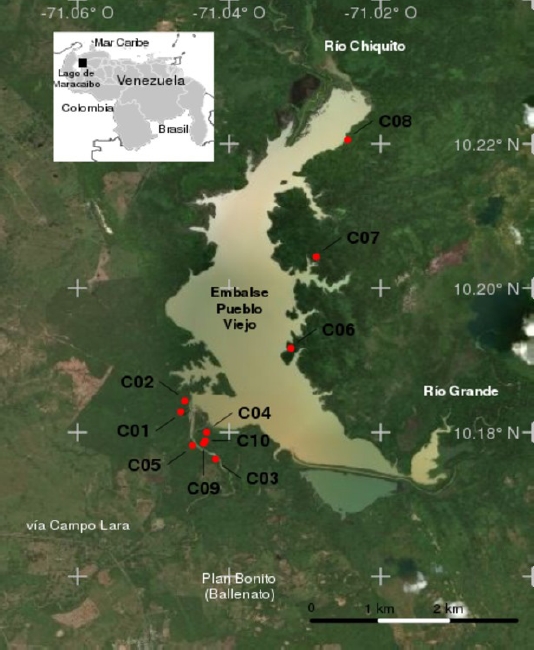 Study area and location of camera traps. Geographic location of the Pueblo Viejo dam in the municipality of Lagunillas, Zulia, Venezuela, and detail of the study area showing sampling localities (C01 to C10). Source of the satellite image: Microsoft Bing Maps Imagery Service API (reviewed on 10 December 2017; Burro Negro, Venezuela, between coordinates 10.17445&rsquo; 00&rsquo;&rsquo; N, -71.04636 11&rsquo;&rsquo; W and 10 24&rsquo;&rsquo; N, 71&deg; 00&rsquo; 00&rsquo;&rsquo; W 10.22054 N, -71.02438 W).