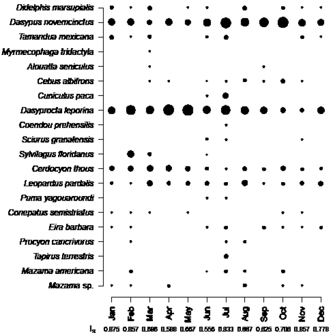 Frequency of monthly activity, expressed as the number of events adjusted for sampling effort (i. e., active camera-trap days) for each species detected throughout a year of sampling. Circle size is proportional to frequency of activity. For each month, the value of the S&oslash;rensen index (IS) is indicated with respect to the previous month.