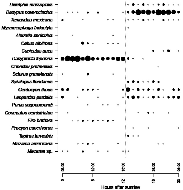 Frequency of daily activity, expressed as the number of events recorded for each species by time of day. Open circles indicate a single event; closed circles indicate more than one event. Circle size is proportional to frequency of activity.