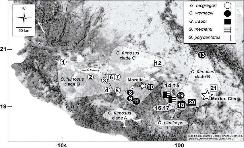 Map depicting distribution of the Cratogeomys fumosus species group and the five genetic clades delineated by Hafner et al. (2004). Symbols indicate localities and Geomydoecus louse species sampled for this study.