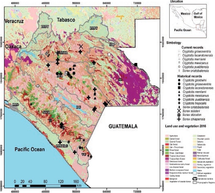 Location of the species of shrews recorded in the state of Chiapas, by physiographic subprovince. AC = Altos de Chiapas; DC = Depresión Central de Chiapas; LLChG = Coastal plain of Chiapas y Guatemala; LLIs = Isthmus plain; LLPT = Plain and wetlands of Tabasco; SBP = Petén Low Sierras; SL = Sierra Lacandona; SNCh = Sierras of Northern Chiapas; SSCh = Sierras of Southern Chiapas; VC = Volcanoes of Central America.