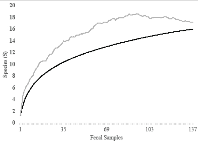 Accumulation curve of seed species consumed by frugivorous bat species at oil palm dominated landscape in Hacienda La Cabaña (Meta, Colombia). Grey solid line indicates Chao 2 model; black solid line represents the number of observed seed species (S = 16).