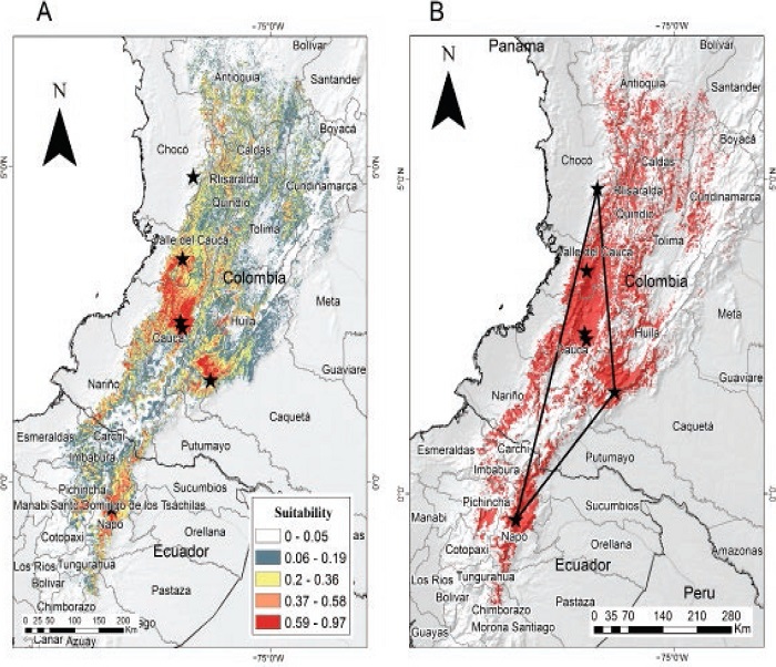 a) Suitability model of the Colombian weasel Mustela felipei. b) Updated potential distribution of M. felipei in South America. The star within the circle represents the new locality in finca Morobia, Valle del Cauca, Colombia. The polygon (black line) indicates the Extent of Occurrence (EOO) and black stars represent confirmed records.