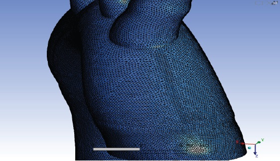 Detalle de la malla de c&aacute;lculo