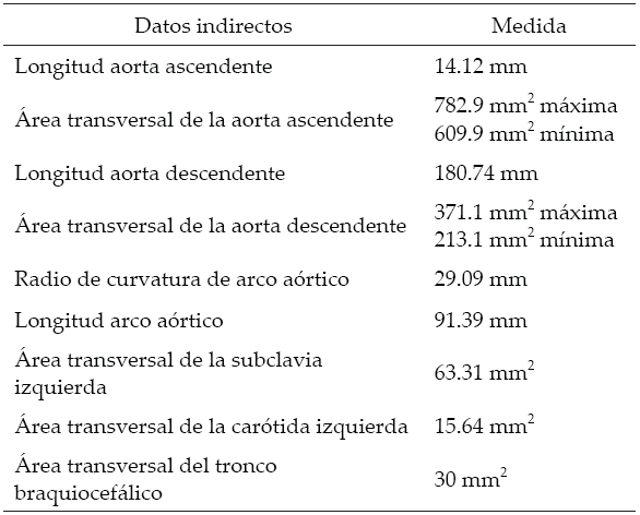 Caracter&iacute;sticas geom&eacute;tricas del dominio