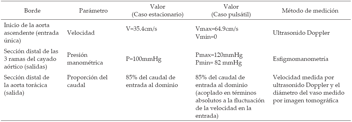 Condiciones de contorno para la simulaci&oacute;n puls&aacute;til y estacionaria