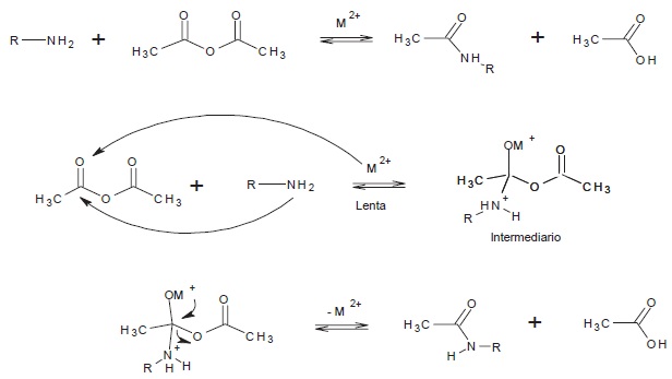 Reacci&oacute;n y mecanismo de la acetilaci&oacute;n de aminas catalizada con M2+