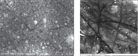 Micrografías de los filtros de PST y de PM10 del MCI-1, respectivamente