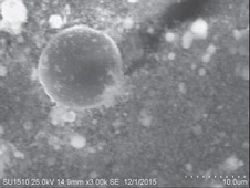 Micrografía del filtro de PST del MCI-2