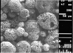 Micrografía de PST producidas en un horno experimental de 0.35 MW (Secretaría del Medio Ambiente y Recursos Naturales, 2011)