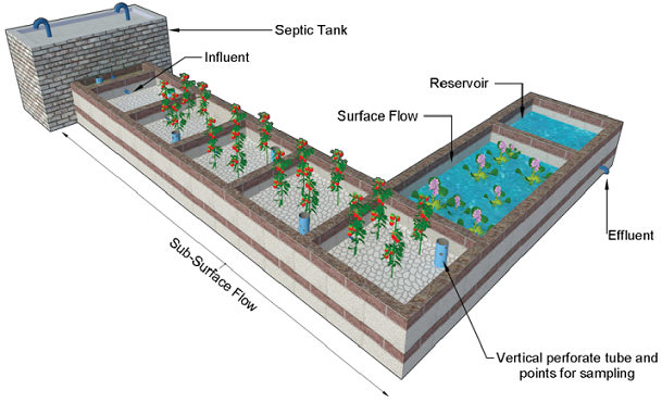 Schematic representation of the pilot plant. Note both wetlands types and a terminal holding reservoir for water reuse options. The sampling points where put in the corner of each cell, assuming the same possibility to examination the wastewater quality