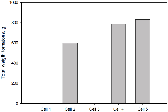 Total fresh weight of tomatoes fruit (g/cell) in SSF CW. Note that Cell 1 was not planted due to clogging and cell 3 productions were negligible for unknown reasons