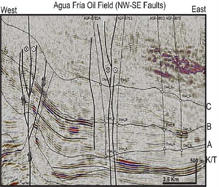 Seismic section. NW-SE dextral transpressive strike-slip fault systems as conduits for oil migration (CNH-UNAM, 2012)