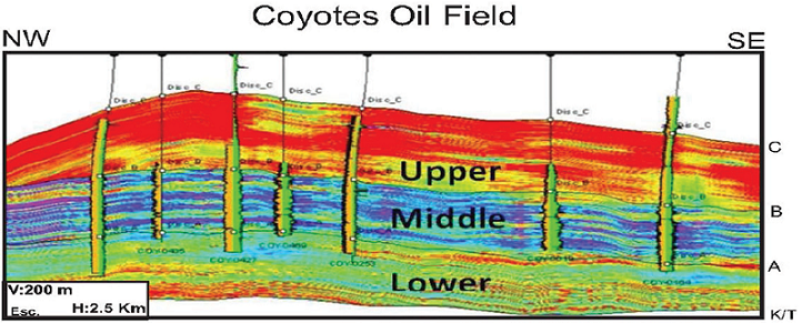 Seismic section and geophysical drilled-well logs to define the lithofacies from the three Megasequences: Lower: shaley-clayey; Middle: sandy-silty; Upper: clayey (CNH-UNAM, 2012).