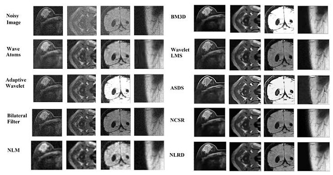 Visual comparison of results in Table 1, second column left to right