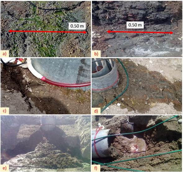 Proceso de deslizamiento superficial de suelo; a) escurrimiento-infiltraci&oacute;n, b) erosi&oacute;n h&iacute;drica, c) grietas transversales por aumento de peso, d) grietas radiales y ausencia de escurrimiento, e) deslizamiento superficial y f) liberaci&oacute;n del flujo sobre el LSZNS