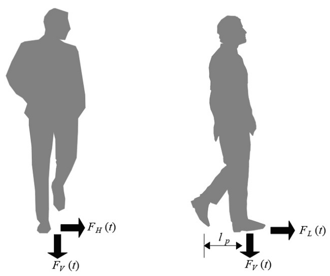 Descomposición ortogonal de la fuerza dinámica peatonal