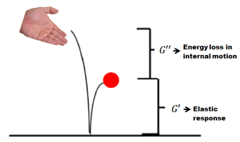 Concept explanation of storage & loss moduli (Saba et al.,
							2016)