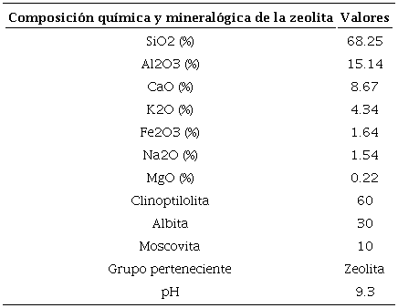 Características físicas y químicas de la zeolita