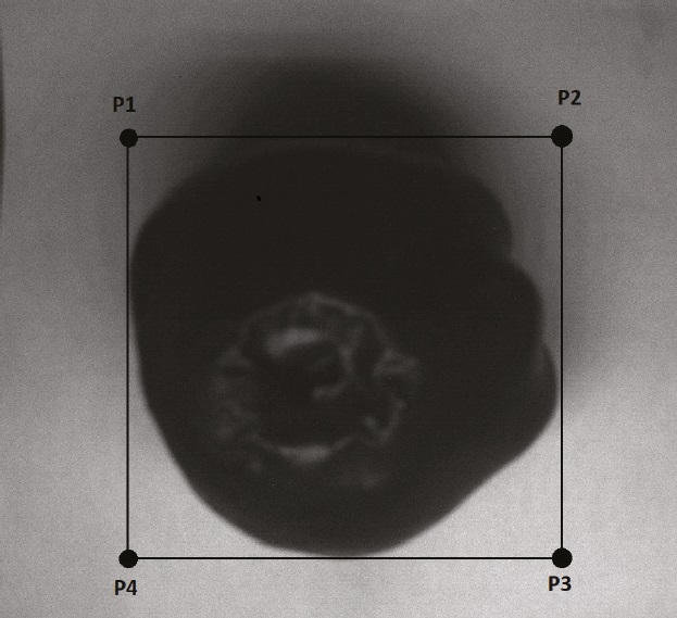 Selecci&oacute;n de puntos requeridos para calcular matriz de homograf&iacute;a