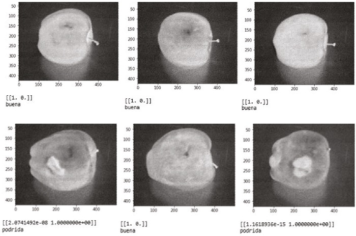 Resultados obtenidos fuera de l&iacute;nea: a) manzana buena, no presenta pudriciones, b) manzana mala, presenta pudriciones