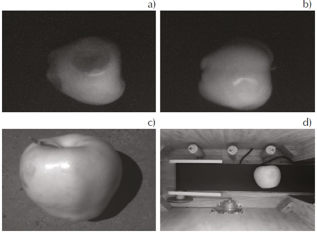 Pruebas de iluminaci&oacute;n: a) luz UV, b) luz LED, c) iluminaci&oacute;n solar, d) iluminaci&oacute;n hal&oacute;gena