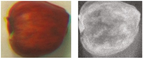 Manzana con pudriciones: a) RGB y b) NDVI