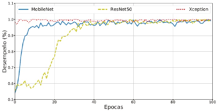 Desempe&ntilde;o de las NNs durante la etapa de entrenamiento