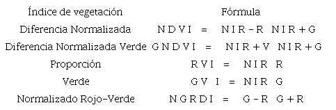 &Iacute;ndices de vegetaci&oacute;n (Giovos et al., 2021).