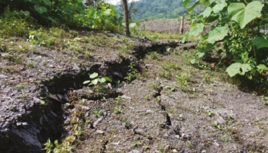Grieta de tracci&oacute;n hallada en la corona de la Zona N&uacute;m. 1