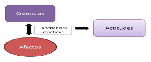 Construcción de actitudes